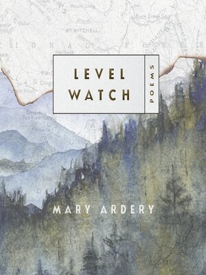 cover image of Level Watch
